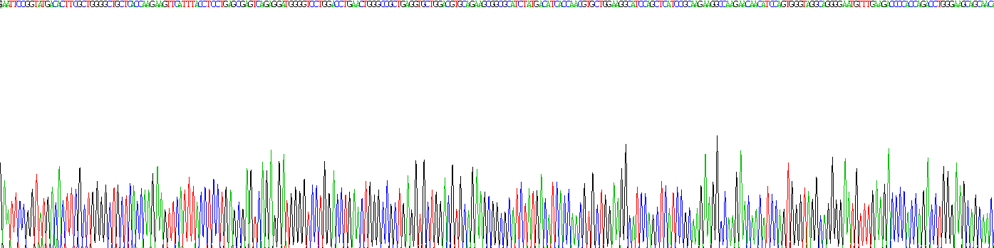 Recombinant E2F Transcription Factor 2 (E2F2)