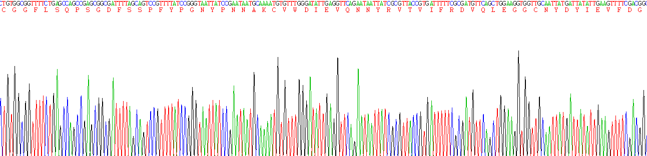 Recombinant Deleted In Malignant Brain Tumors 1 (DMBT1)