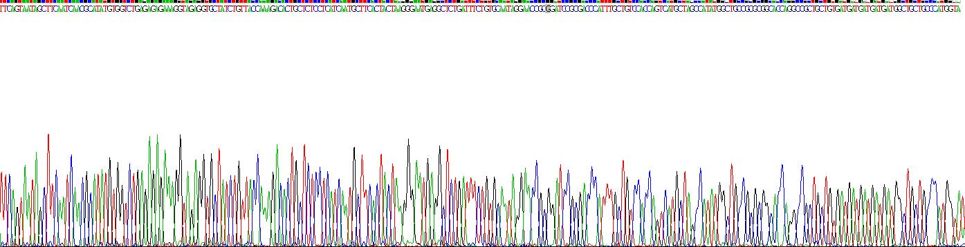 Recombinant Diablo Homolog (DIABLO)