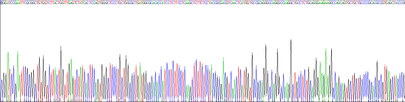 Recombinant Diacylglycerol-O-Acyltransferase Homolog 1 (DGAT1)