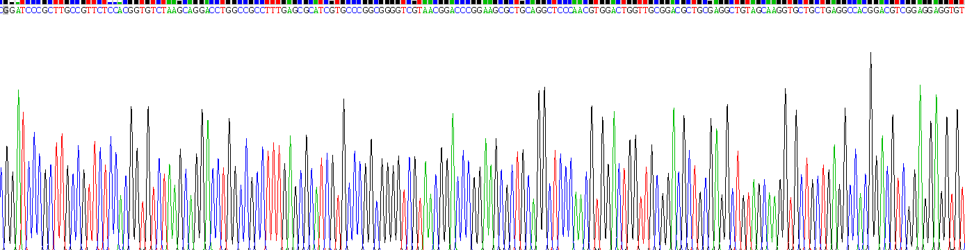 Recombinant D2-Hydroxyglutarate Dehydrogenase (D2HGDH)