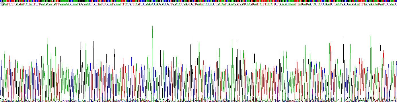 Recombinant Coxsackie Virus And Adenovirus Receptor (CXADR)