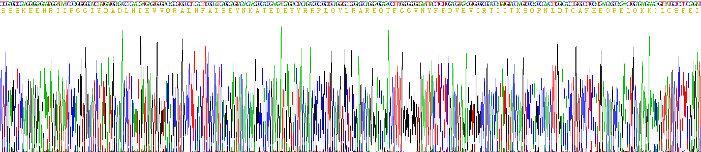 Recombinant Cystatin 4 (CST4)