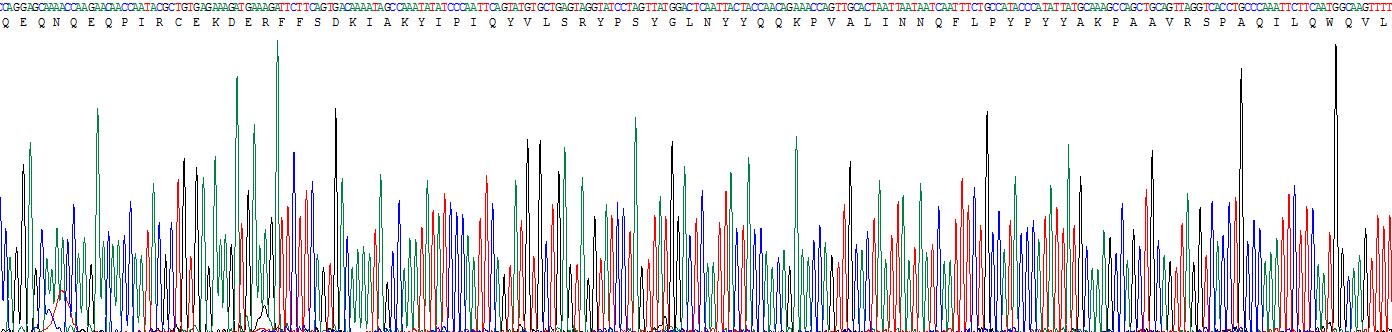 Recombinant Casein Kappa (CSN3)