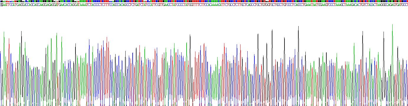 Recombinant Casein Beta (CSN2)