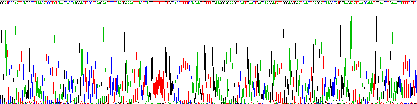 Recombinant Casein Alpha (CSN1)