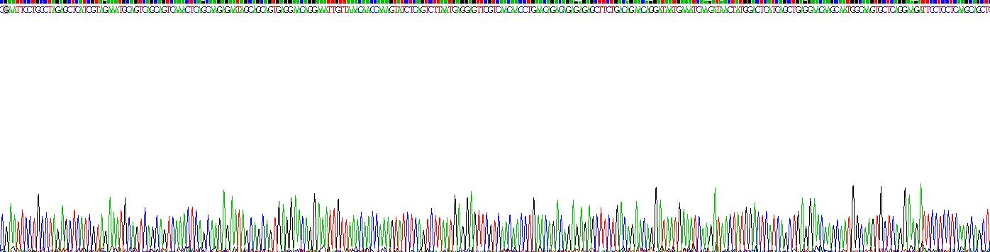 Recombinant Casein Alpha (CSN1)