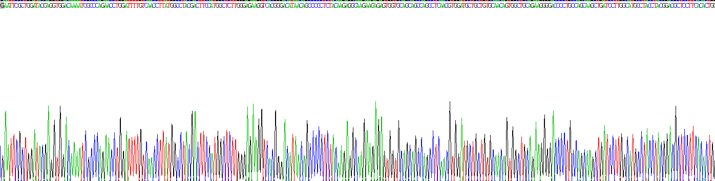 Recombinant Chitinase 1 (CHIT1)