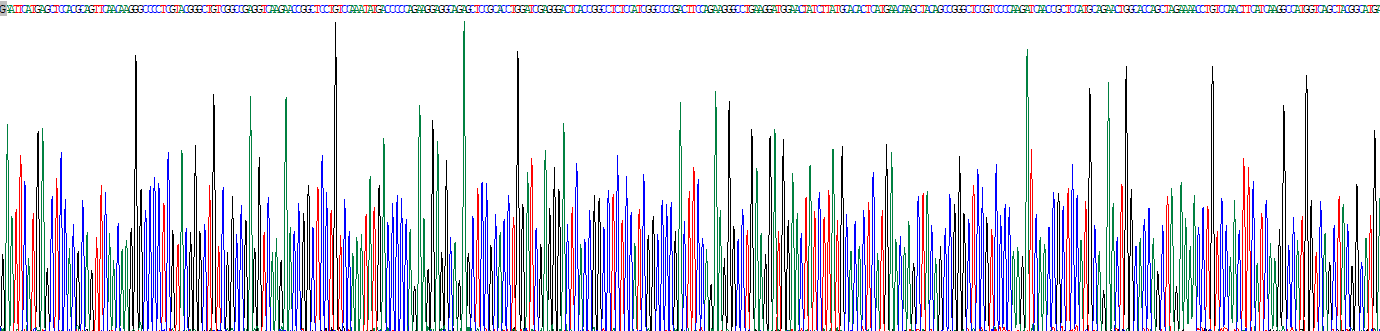 Recombinant Calponin 2 (CNN2)