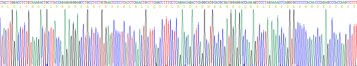 Recombinant Slingshot Homolog 2 (SSH2)