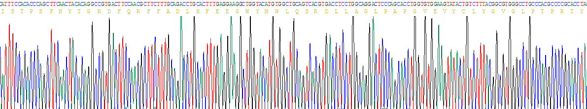 Recombinant Lecithin Cholesterol Acyltransferase (LCAT)