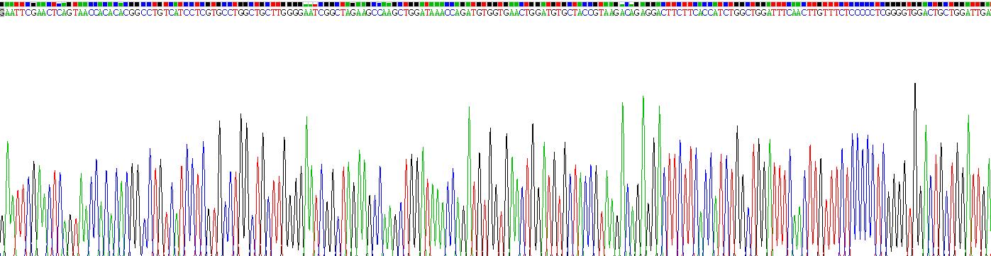 Recombinant Lecithin Cholesterol Acyltransferase (LCAT)