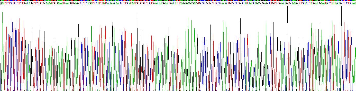 Recombinant BMP Binding Endothelial Regulator (BMPER)