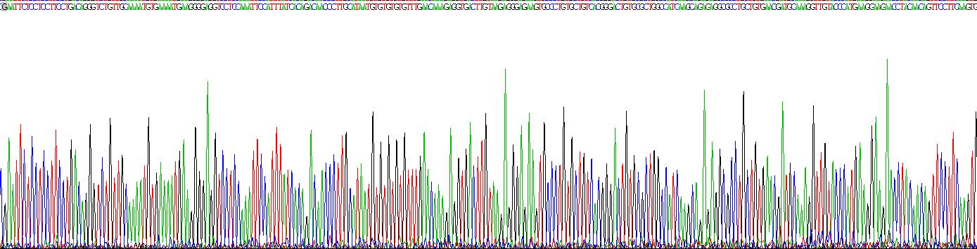 Recombinant BMP Binding Endothelial Regulator (BMPER)