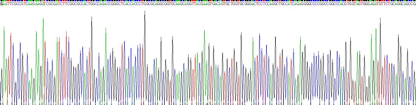 Recombinant Biliverdin Reductase B (BLVRB)