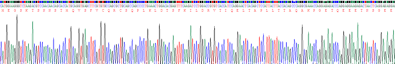 Recombinant Beclin 1 (BECN1)