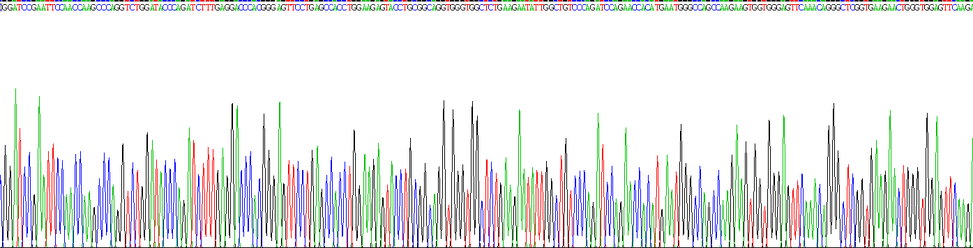 Recombinant Activity Regulated Cytoskeleton Associated Protein (ARC)