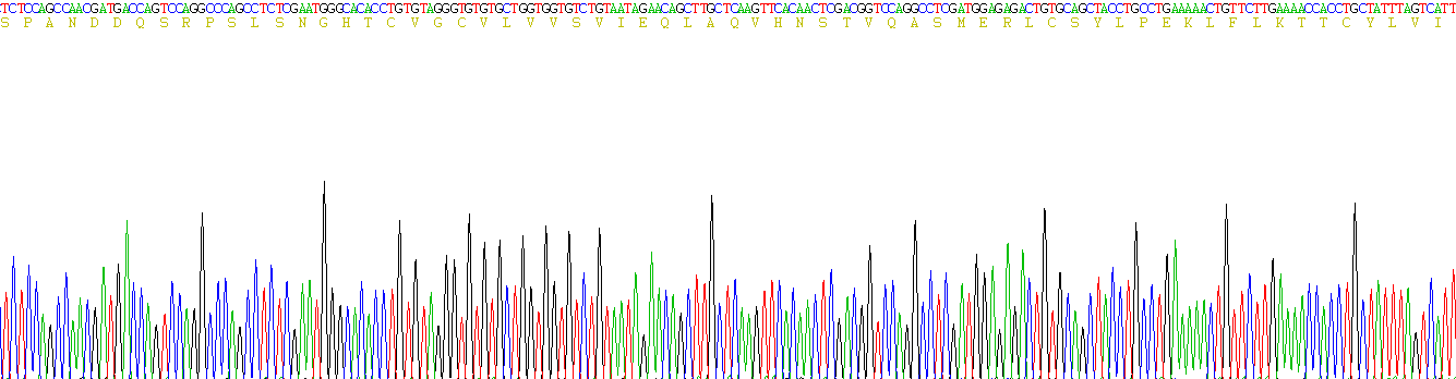 Recombinant Acyloxyacyl Hydrolase (AOAH)