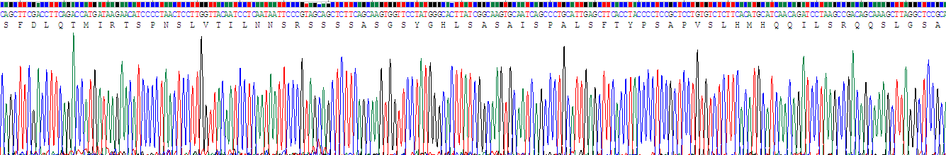 Recombinant GLI Family Zinc Finger Protein 3 (GLI3)