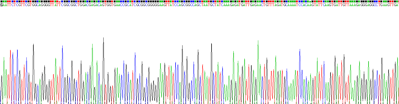 Recombinant MutL Homolog 1 (MLH1)