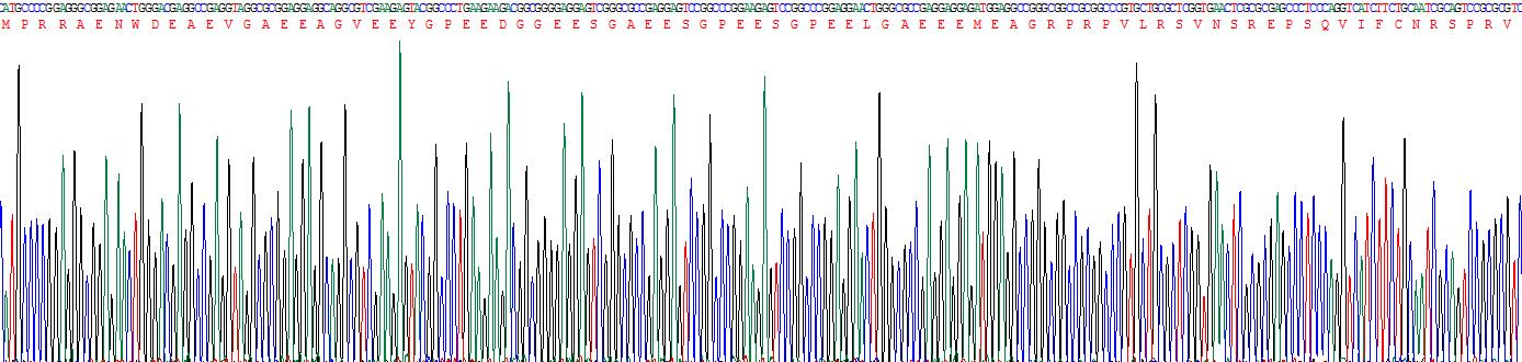 Recombinant Von Hippel Lindau Tumor Suppressor (vHL)