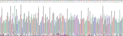 Recombinant Tyrosine 3/Tryptophan 5 Monooxygenase Activation Protein Zeta (YWHAz)