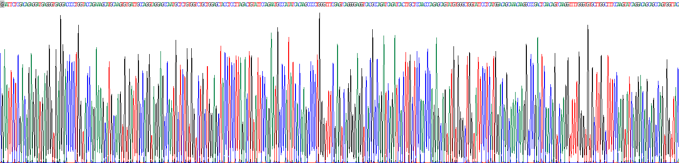 Recombinant Retinoschisin (RS)