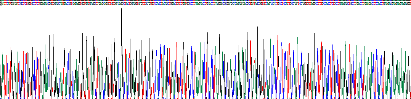 Recombinant Potassium Voltage Gated Channel Shaker Related Subfamily, Member 5 (KCNA5)