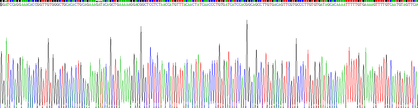 Recombinant Enhancer Of Zeste Homolog 2 (EZH2)