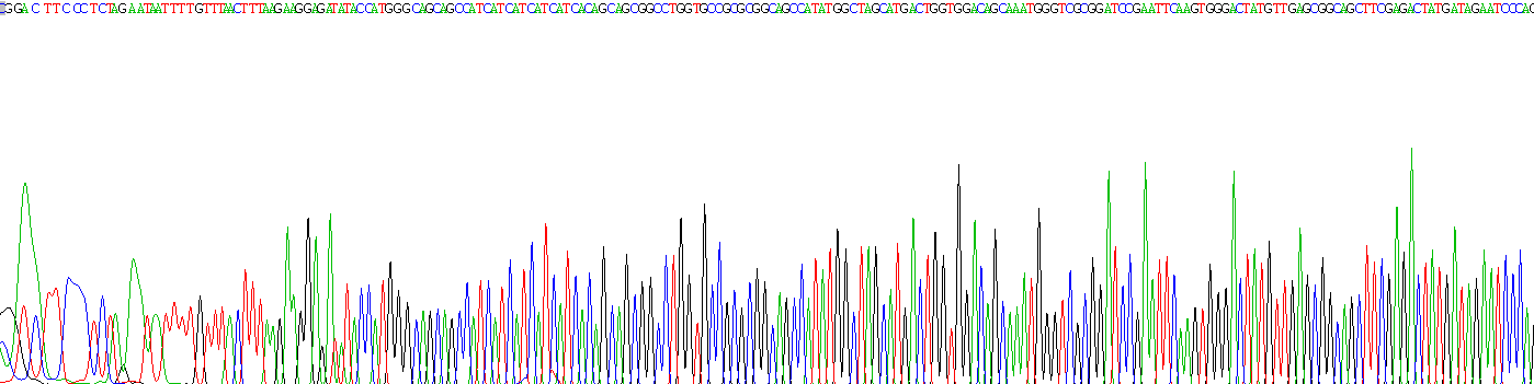 Recombinant Leucine Rich Repeat LGI Family, Member 3 (LGI3)