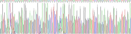 Recombinant A Disintegrin And Metalloprotease 28 (ADAM28)