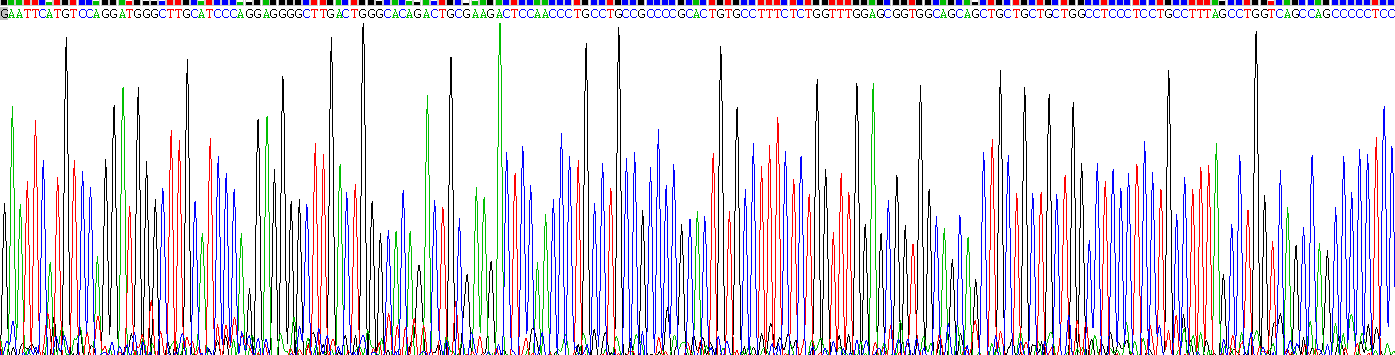 Recombinant A Disintegrin And Metalloproteinase With Thrombospondin 4 (ADAMTS4)