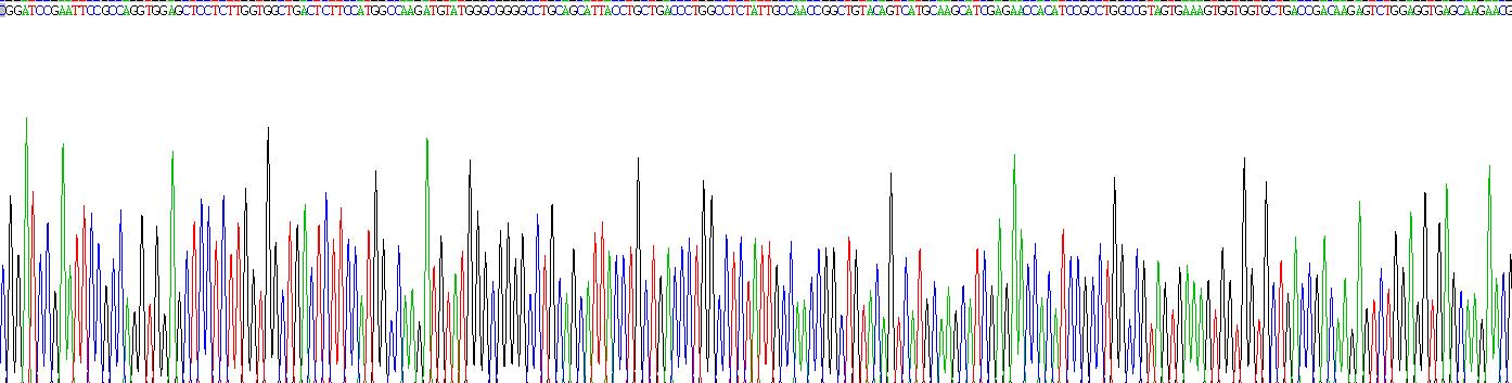 Recombinant A Disintegrin And Metalloproteinase With Thrombospondin 5 (ADAMTS5)