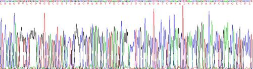 Recombinant A Disintegrin And Metalloproteinase With Thrombospondin 8 (ADAMTS8)