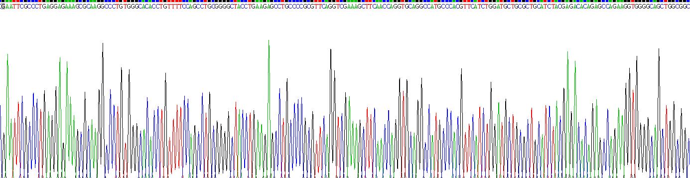 Recombinant Nucleotide Binding Oligomerization Domain Containing Protein 1 (NOD1)