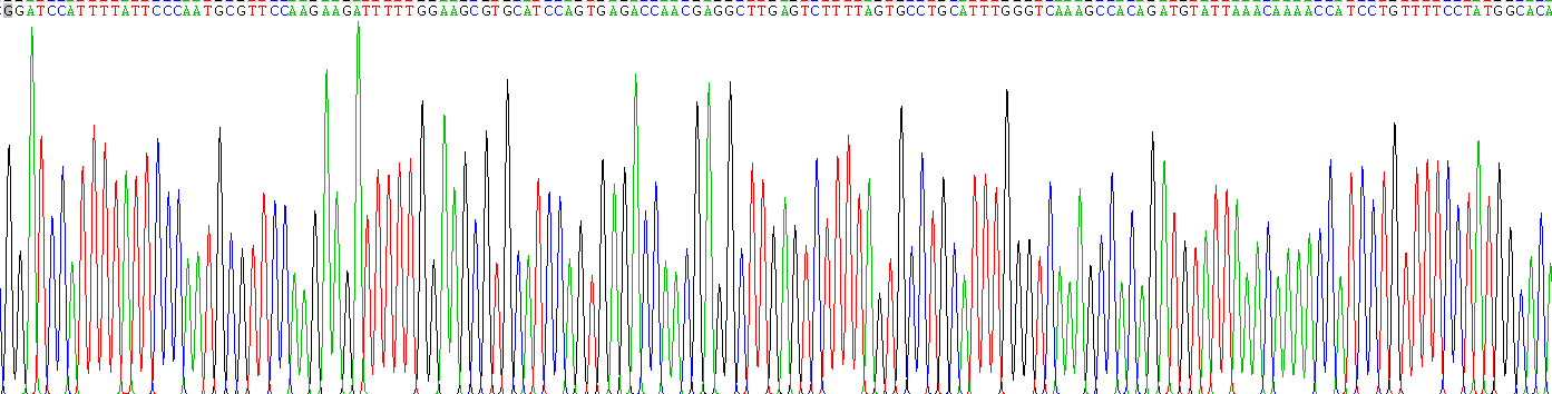 Recombinant Pentraxin 3, Long (PTX3)