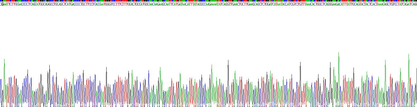 Recombinant Dicer 1, Ribonuclease Type III (DICER1)