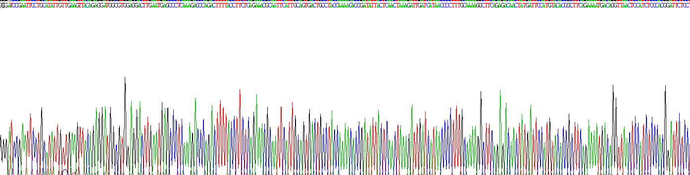 Recombinant Eomesodermin (EOMES)