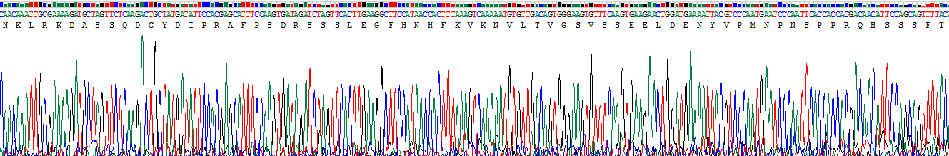 Recombinant GRB2 Associated Binding Protein 1 (GAB1)