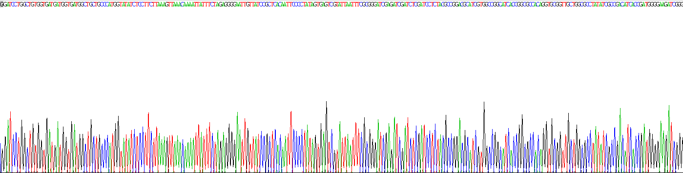 Recombinant Calprotectin (CALPRO)