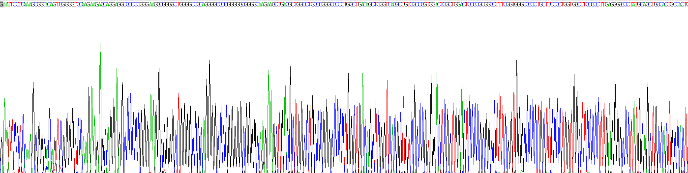 Recombinant Notch Homolog 3 (NOTCH3)