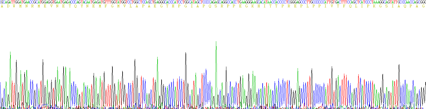 Recombinant Notch Homolog 2 (NOTCH2)