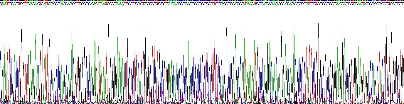 Recombinant Notch Homolog 4 (NOTCH4)