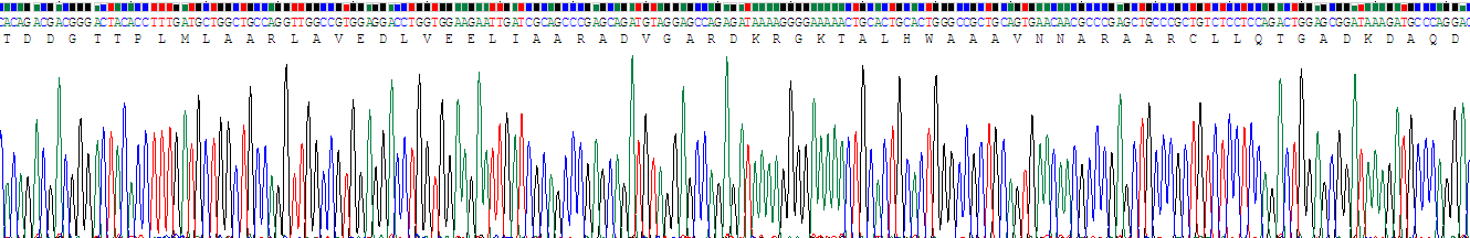 Recombinant Notch Homolog 4 (NOTCH4)