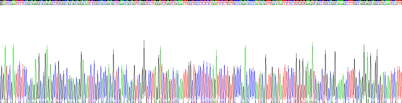 Recombinant Adaptor Protein Phosphotyrosine Interaction PH Domain And leucine Zipper Containing Protein 1 (APPL1)