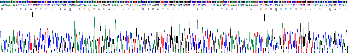 Recombinant Alpha-2-Glycoprotein 1, Zinc Binding (aZGP1)