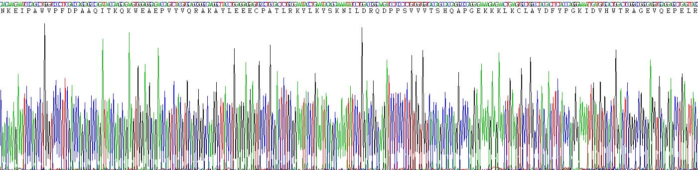 Recombinant Alpha-2-Glycoprotein 1, Zinc Binding (aZGP1)