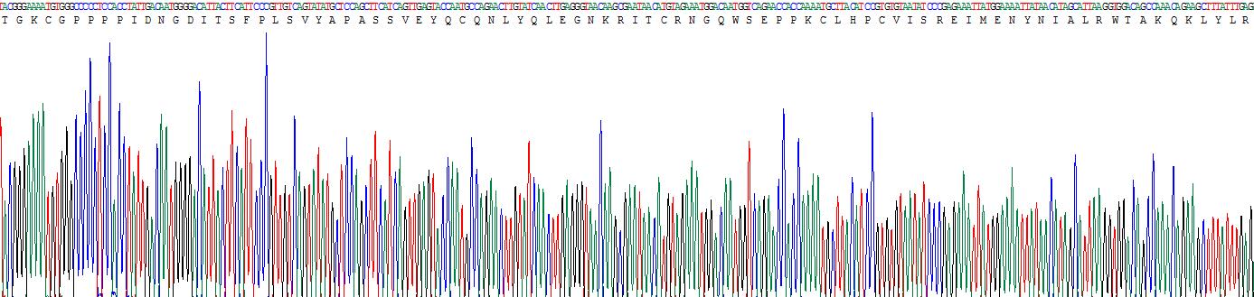 Recombinant Complement Factor H Related Protein 1 (CFHR1)