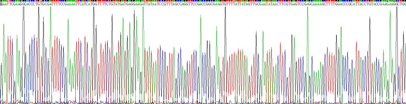 Recombinant Complement Factor H Related Protein 5 (CFHR5)