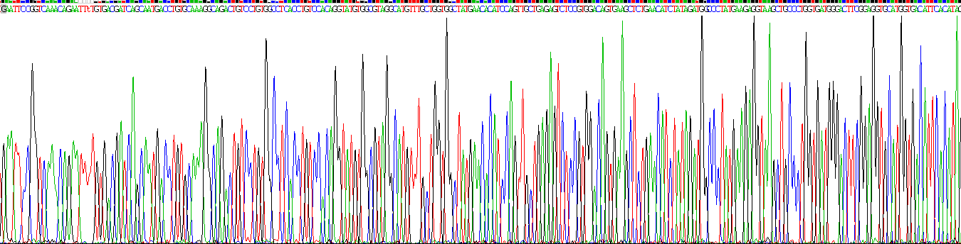 Recombinant Dermatan Sulfate Epimerase (DSE)